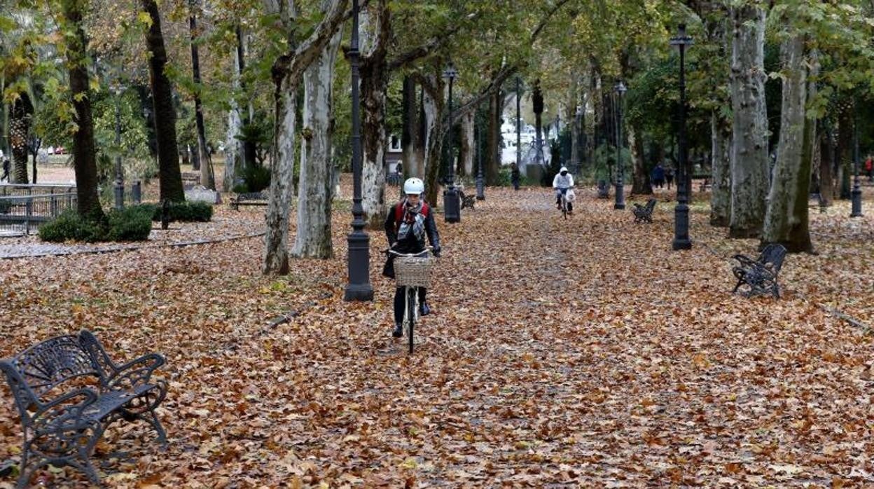 Comienzan A Bajar Las Temperaturas M Nimas Pero Contin A El Calor Este