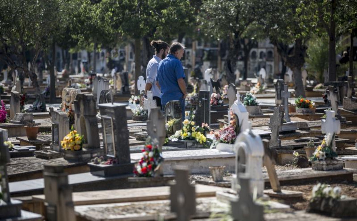 D A De Todos Los Santos En Valencia Horarios L Neas De La Emt Y Zonas