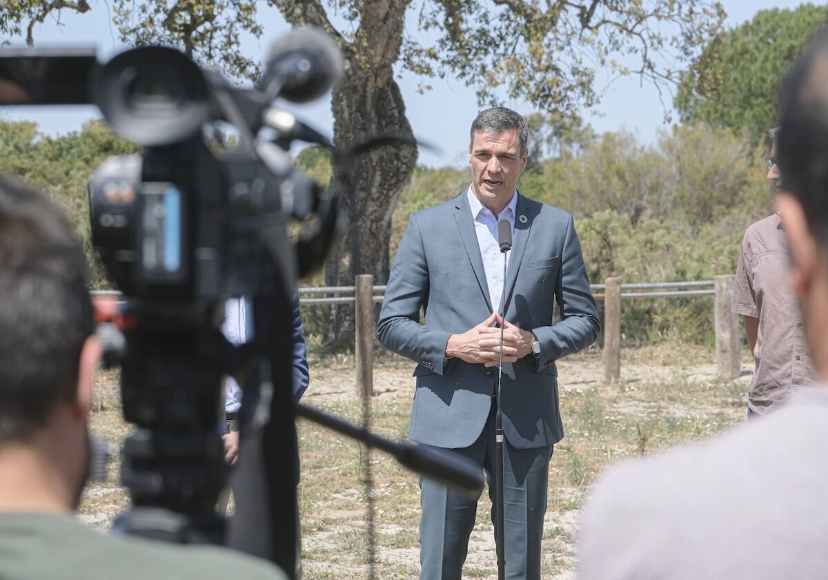 Pedro S Nchez Acudi En Falcon A Do Ana Para Defender El Ecologismo