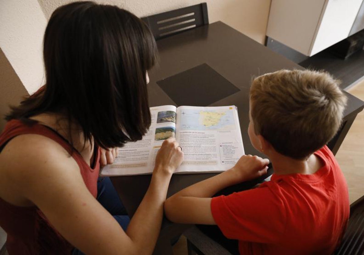 Una Plataforma Nacional Pide Blindar La Ley Educativa De Maz N Para Que