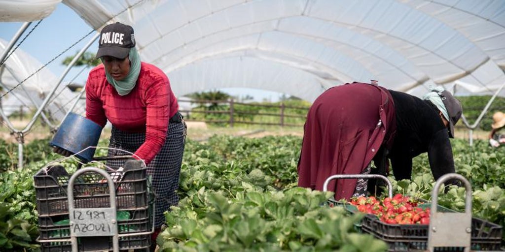 Los J Venes Agricultores Piden La Dimisi N De Teresa Ribera Por Alentar