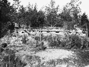 Trincheras Rusas Tomadas por los Alemanes entre Luzana y Gorlice