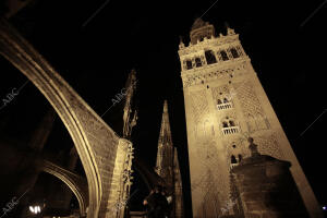 Vistas singulares nocturnas en la Catedral de Sevilla