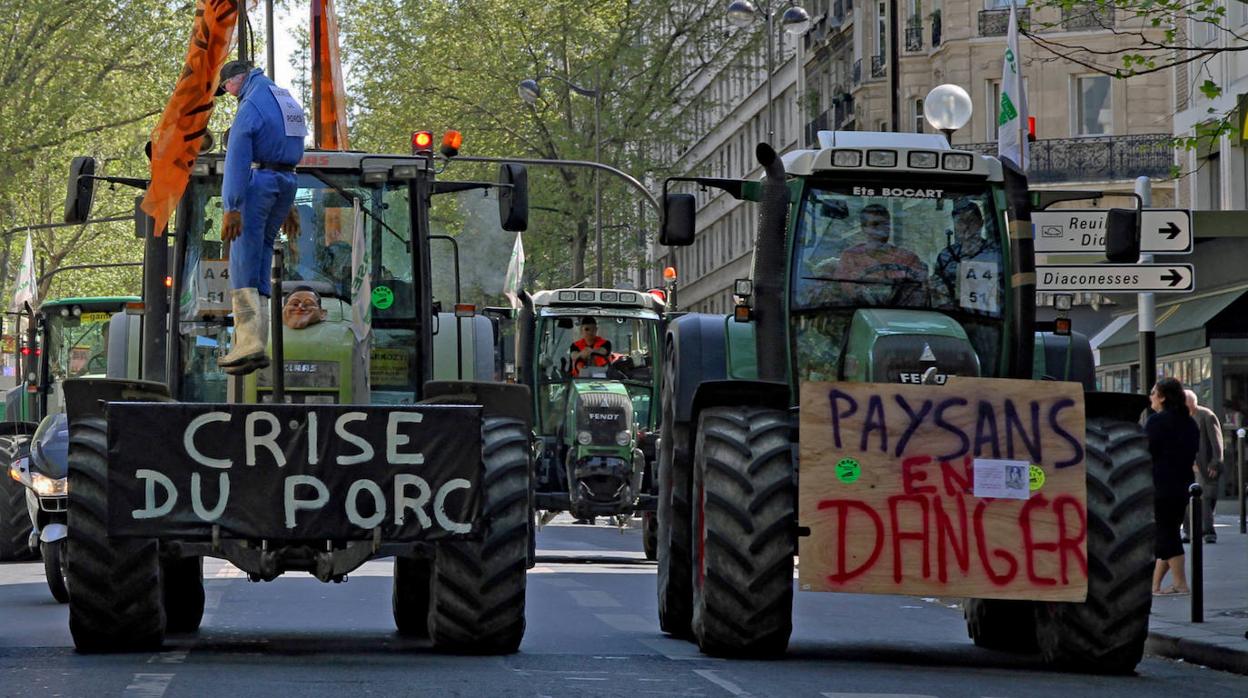 El suicidio del campo francés