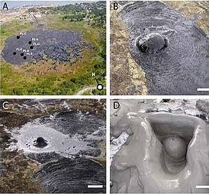 Inauditas formas de vida aparecen en un lago de asfalto