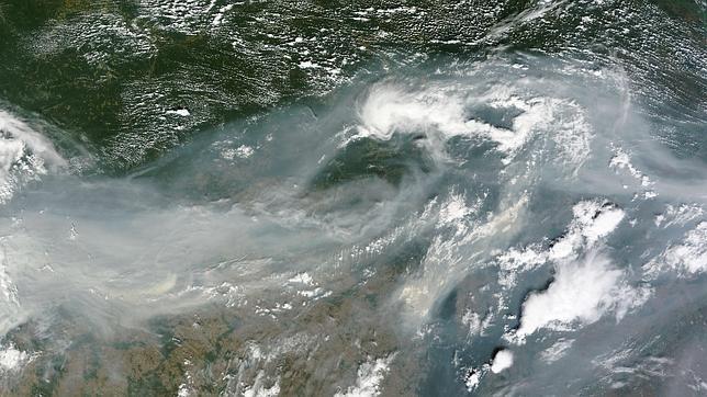 Los incendios podrían suponer unas pérdidas de 15.000 millones de dólares