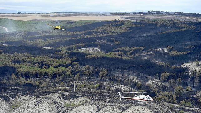Imputan un delito de incendio forestal a los tres magrebíes detenidos por el fuego de Falces