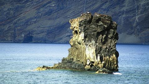 Canarias tuvo un clima ecuatorial hace cuatro millones de años