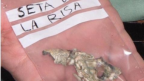 Alucinógenos para el «viaje final»