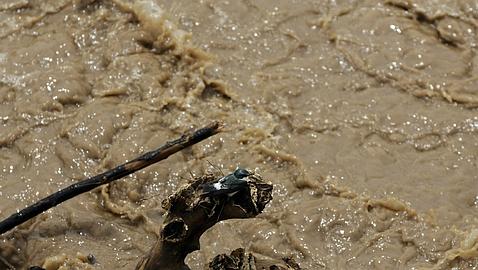 La ONU insta a dar pasos reales contra el cambio climático