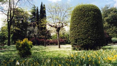 Madrid recibe el premio «Green Good Design» por sus zonas verdes