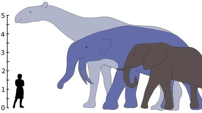 Los gigantes que sucedieron a los dinosaurios