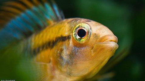 750 millones de euros para la conservación de la naturaleza