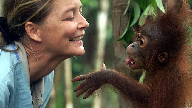El orangután y el hombre: las diferencias que nos distinguen