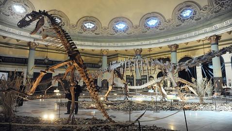 El legado de los dinosaurios, en el Casino de la Exposición