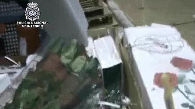 La Policía Nacional intercepta 71 kilos de cocaína camuflada en cajas de rosas