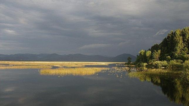 Aparece un humedal de 30 hectáreas en un polígono industrial de Meco