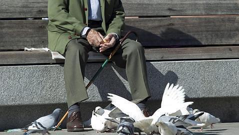 Hasta 500 euros de multa por alimentar a las palomas en Sevilla