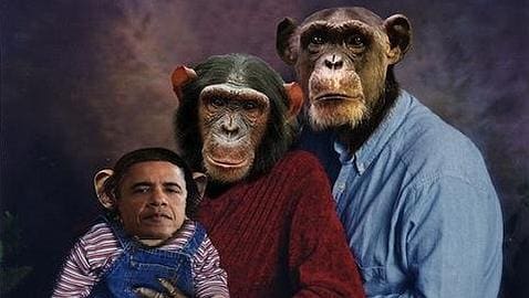 Una dirigente del Tea Party compara a Obama con un chimpancé