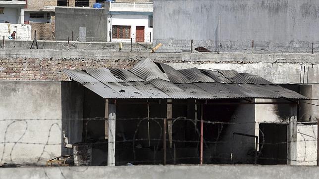 Una de las hijas de Bin Laden asegura que el terrorista fue capturado vivo y asesinado