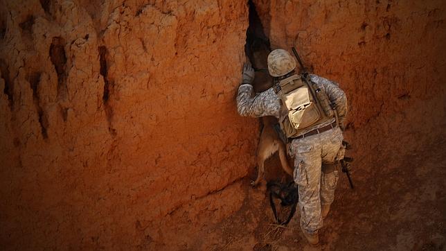 Miles de impostores se hacen pasar como Navy Seals tras la muerte de Bin Laden