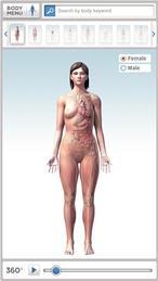 El cuerpo humano, al detalle en 3D