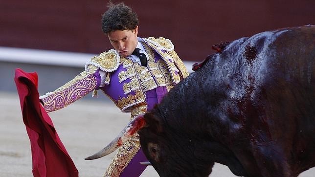 El medio toro