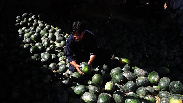 ¿Por qué explotan las sandías en el este de China?
