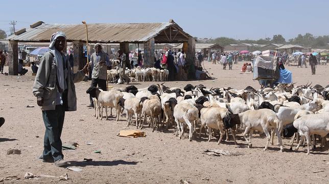 Somalilandia: 20 años del país que no existe