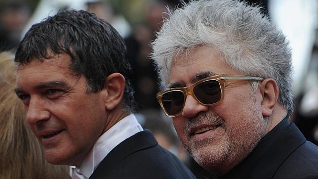 Malick, Hazanavicius y Kaurismaki, un triple en la quiniela