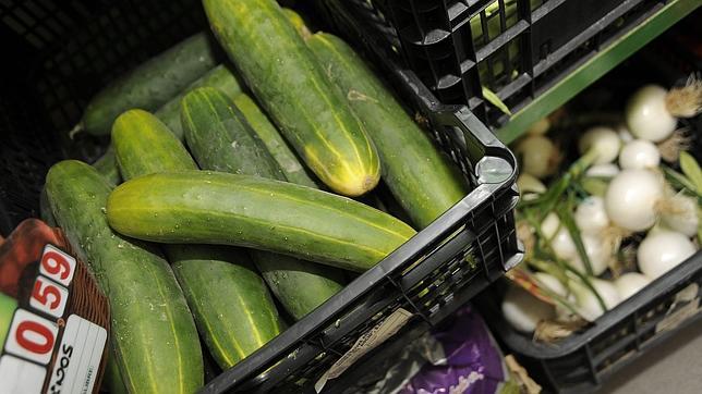 El Gobierno «no descarta» acciones legales contra Hamburgo por la crisis de los pepinos