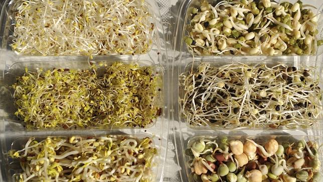 Más de la mitad de las muestras de soja han dado negativo en «E. coli»