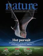 ¿Cómo saben los vampiros dónde morder?