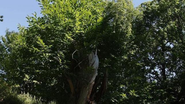 «Dejad hablar al viento, ése es el Paraíso»