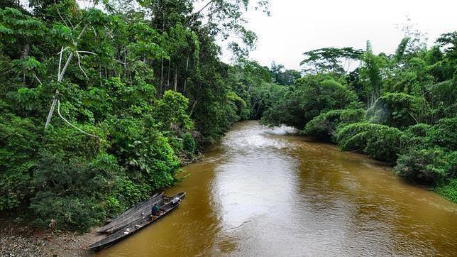 Ecuador apela a la sociedad civil para salvar la «joya» de la biodiversidad mundial