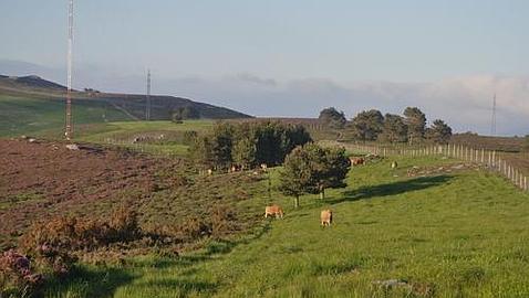 Suecia se interesa por la restauración ambiental que se lleva a cabo en Asturias