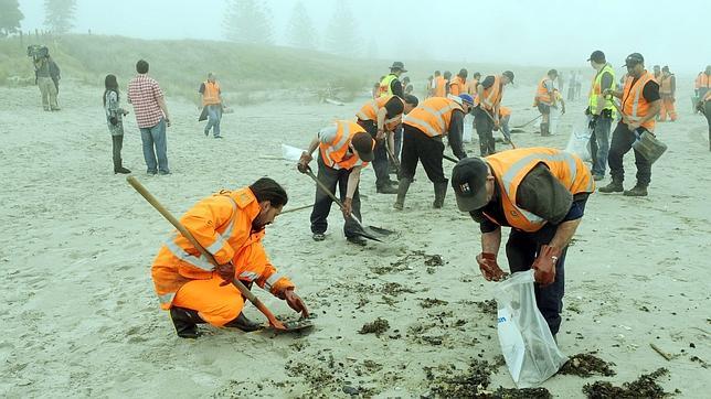 El vertido del «Rena» ya es el peor desastre ambiental de Nueva Zelanda