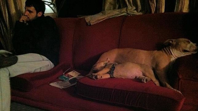 Los «okupas» muerden al comercio