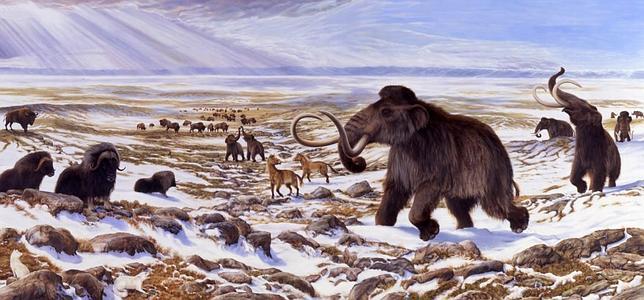 El hombre ya exterminó dos especies animales hace 16.000 años