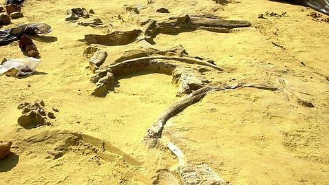 Los humanos emigraron desde África a través de Arabia, no por Egipto como se creía