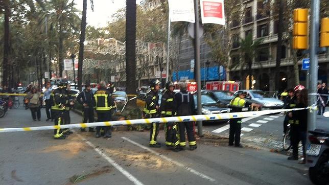 Dos heridas al caer una palmera en la Diagonal de Barcelona