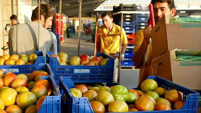 La entrada sin control de tomate marroquí hunde el precio del mercado comunitario