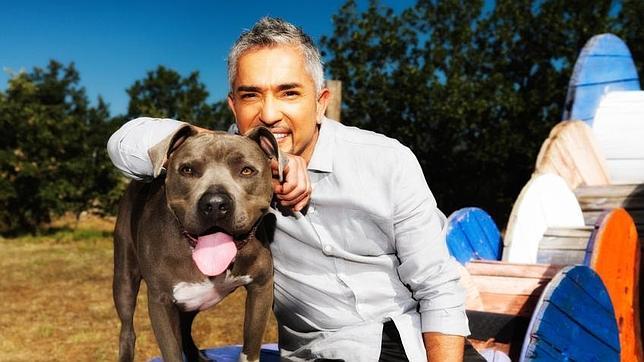 «Abandonar perros en España es casi como comer jamón»