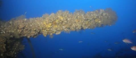 Captan las primeras imágenes del submarino alemán hundido en Calpe