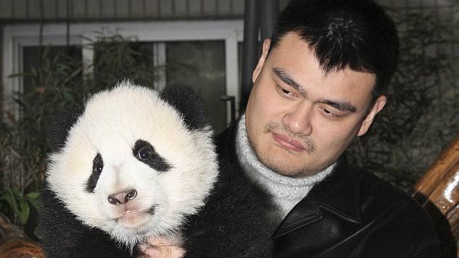 Yao Ming apadrina un «Valle de Pandas» en Sichuan