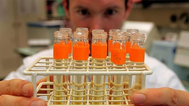 Los «vampiros» prefieren la sangre de los ciclistas