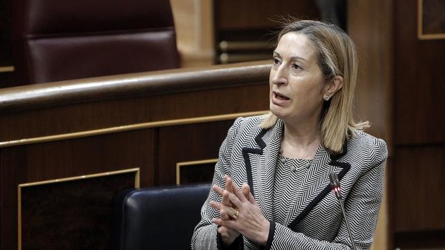 Pastor: «El Gobierno hizo todo lo que podía hacer tras el cierre de Spanair»