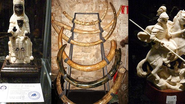 Detenido el exdirector del Museo del Mamut por el robo de piezas de marfil