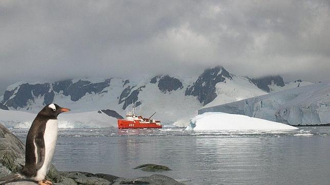 Una alianza ecologista internacional pide la creación de una red de reservas marinas en la Antártida