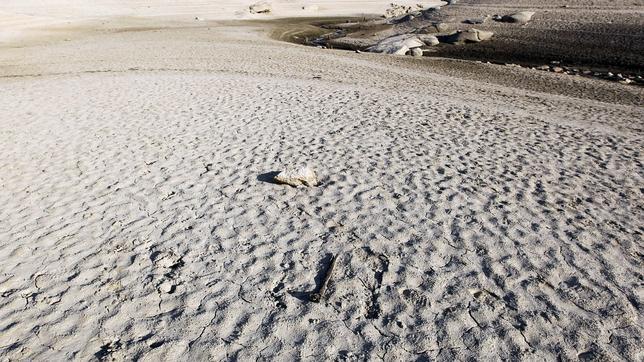 El Gobierno pondrá en marcha mecanismos de apoyo para los sectores más afectados por la sequía